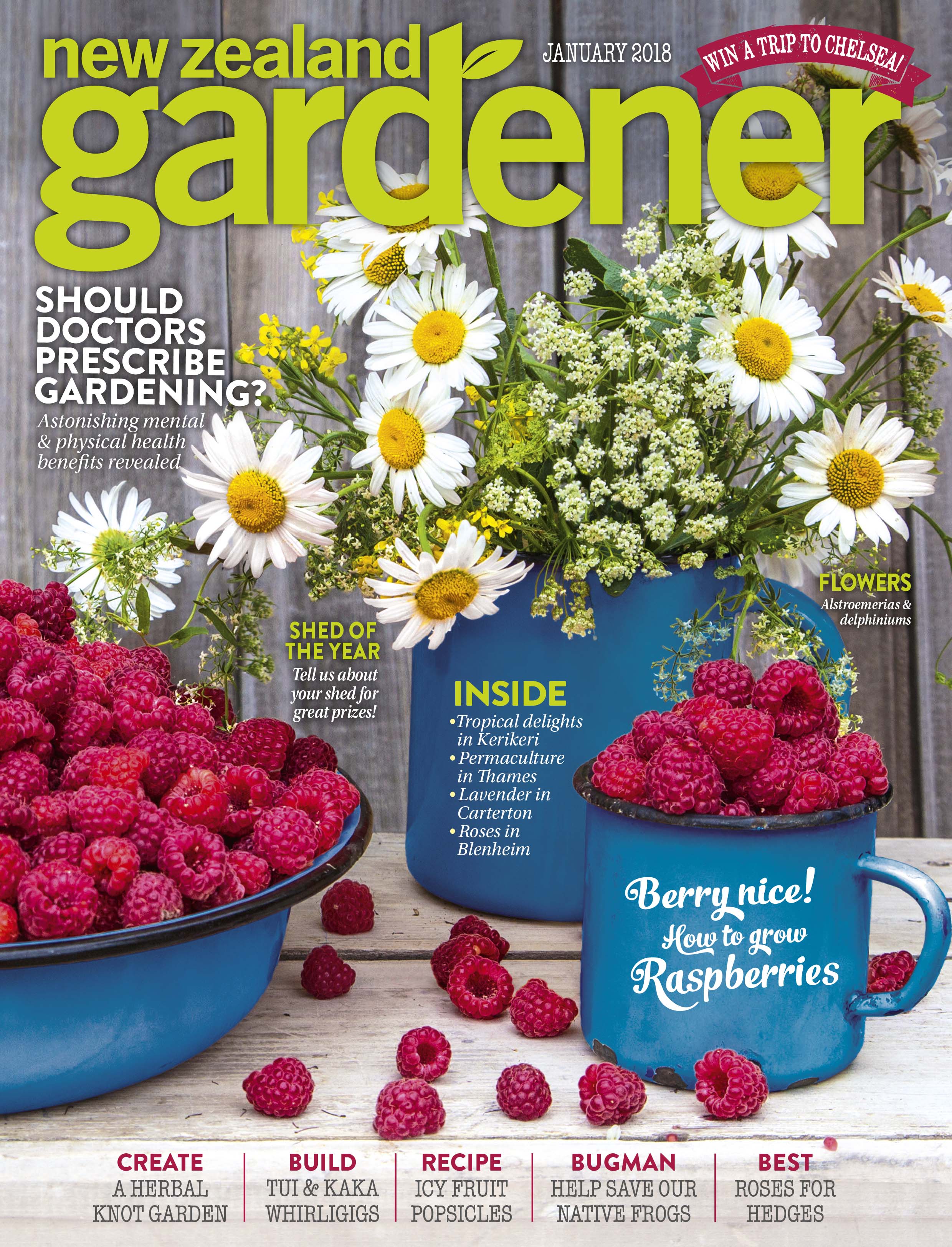 NZ Gardener cover